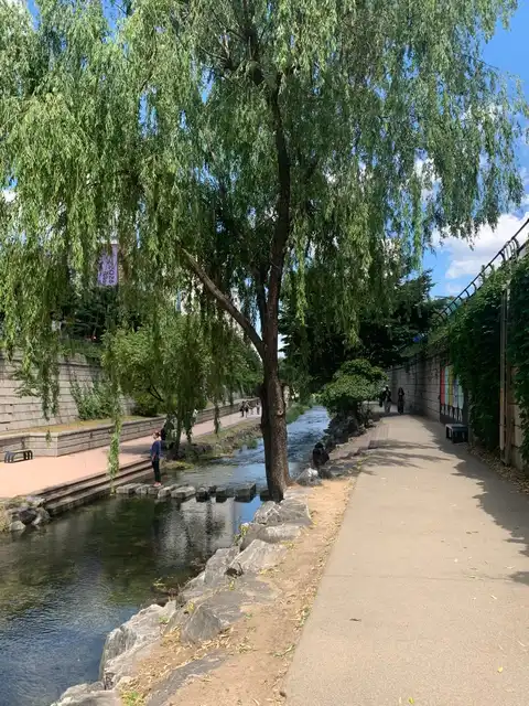 Cheonggyecheon Stream Fußweg – Trauerweiden entlang des Bachs, Spaziergänger auf dem Uferweg