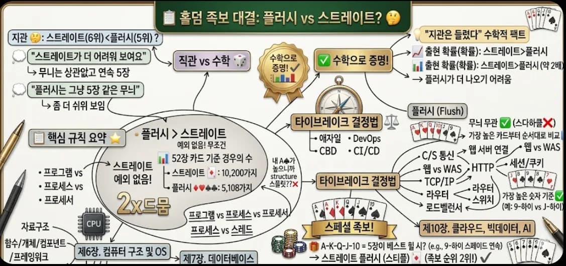 홀덤 플러시 vs 스트레이트 완전 정리 인포그래픽 — 직관 vs 수학 비교·확률 2배 차이·타이브레이크 규칙 핵심 요약